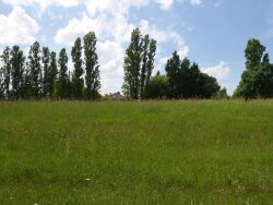maison-a-vendre-|-arblade-le-haut-|-gers